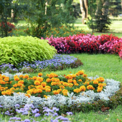 Tuinonderhoud en aanleg