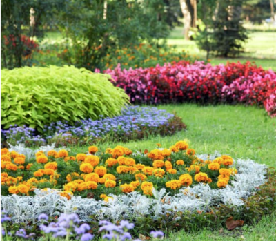 Tuinonderhoud en aanleg