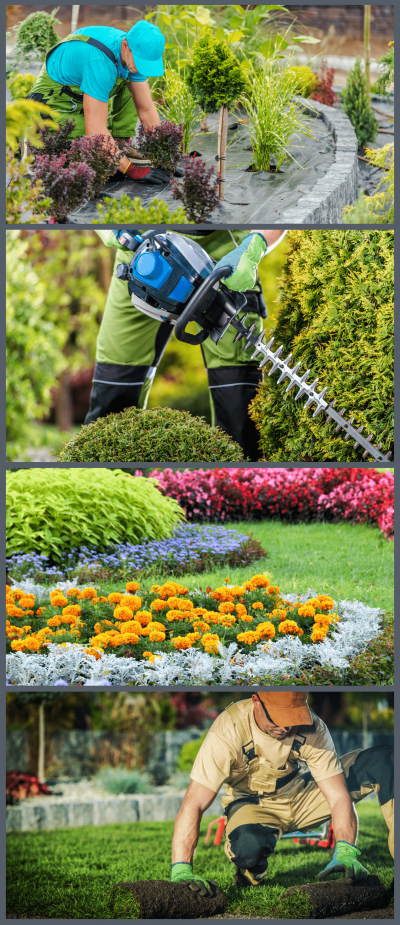 Tuinonderhoud en aanleg